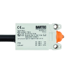 Limit switch